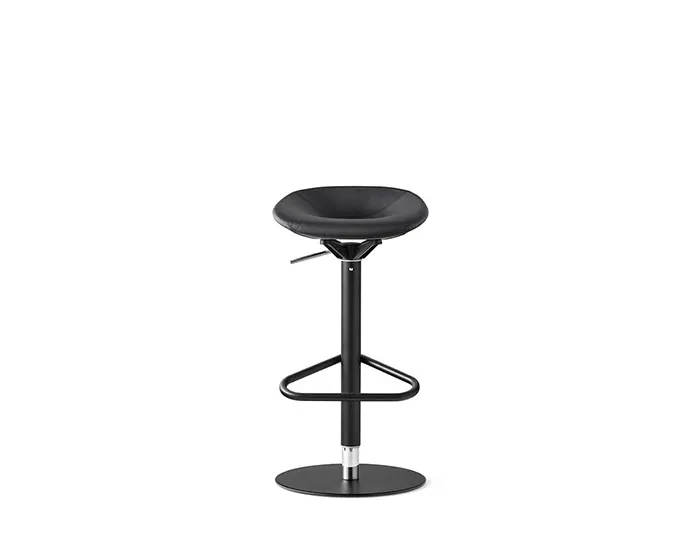 Option Palm (cat. number CS2234)